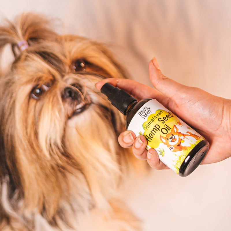 Hemp Seed Oil for Dogs | 100ml