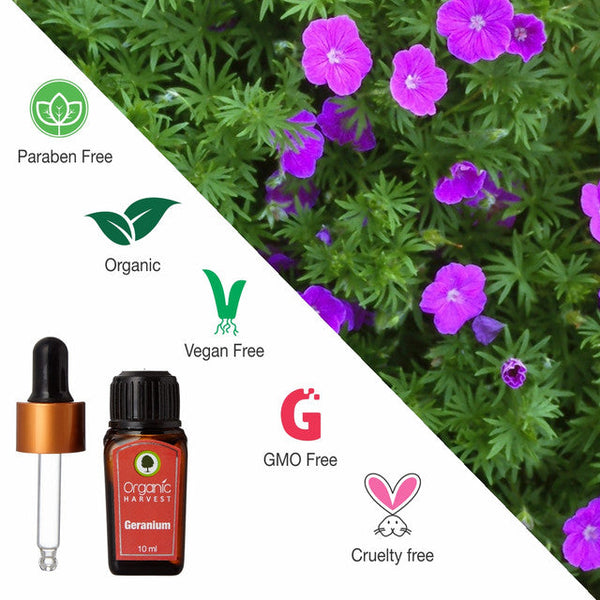 Geranium Essential Oil | Anti Ageing | 10 ml