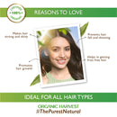 Organic Harvest Everyday Shampoo | Coffee & Walnuts | For Dry & Frizzy Hair | 250ml