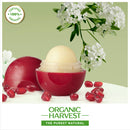 Organic Harvest Moisturizing Lip Balm | Pomegranate | For Dark Lips to Lighten | 8 g