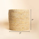 Date Palm Planter | 17.5 cm