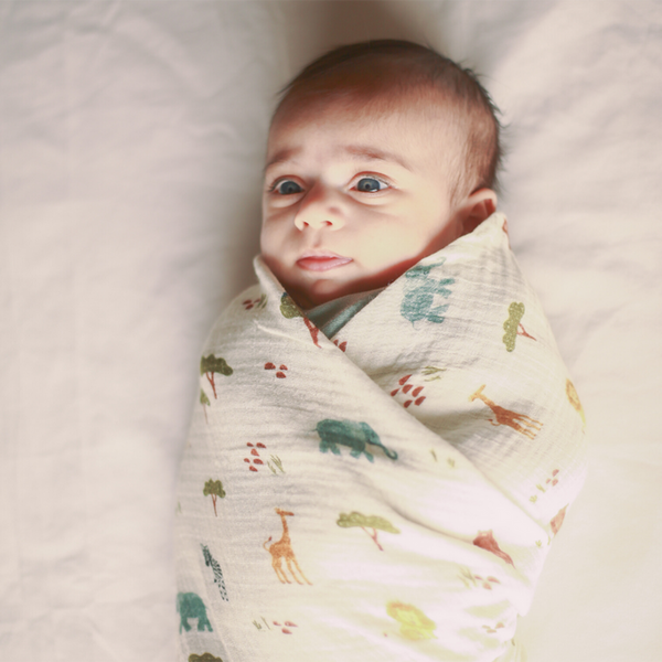 Organic Muslin Baby Swaddle | Printed | Set of 3 | 105 x 105 cm