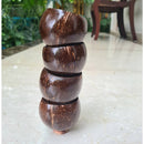 Eco friendly Coconut Shot Glass Set of 4