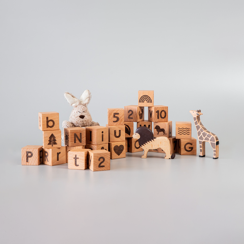 Birch and Bug Wooden Blocks for Kids | Learning Blocks for Kids | BPA Free | Brown | Set of 26