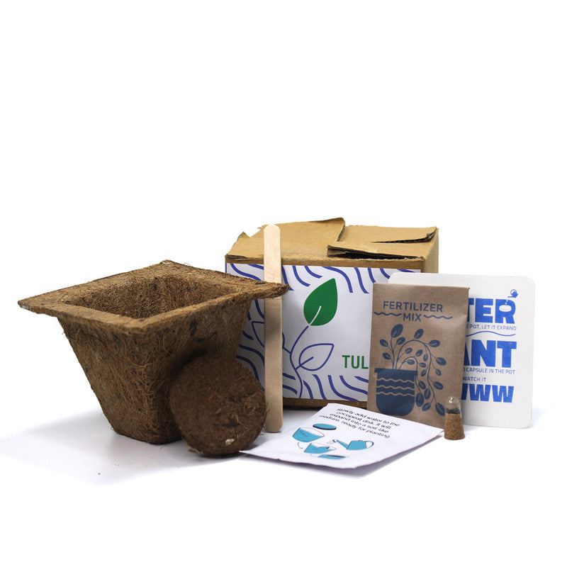 Plantable DIY Kit | Fertiliser Mix Seeds | Square | Set of 4