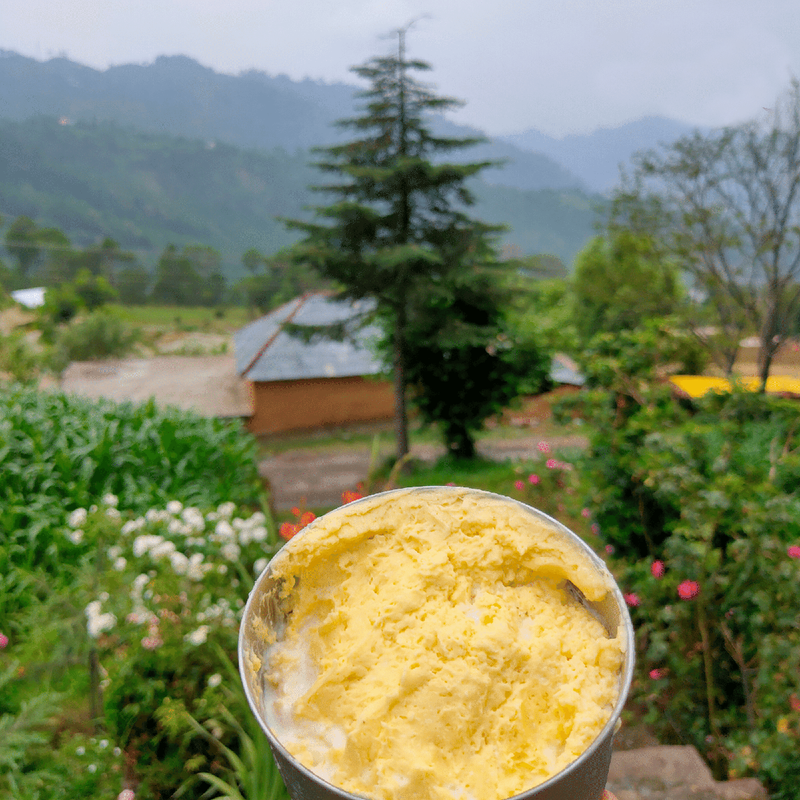 A2 Ghee | Desi Badri Cow Ghee | Curd Cultured | 250 ml