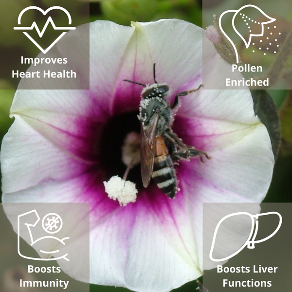 Honey | Multi-Floral | Natural & Raw | Boost Immunity | 500 g