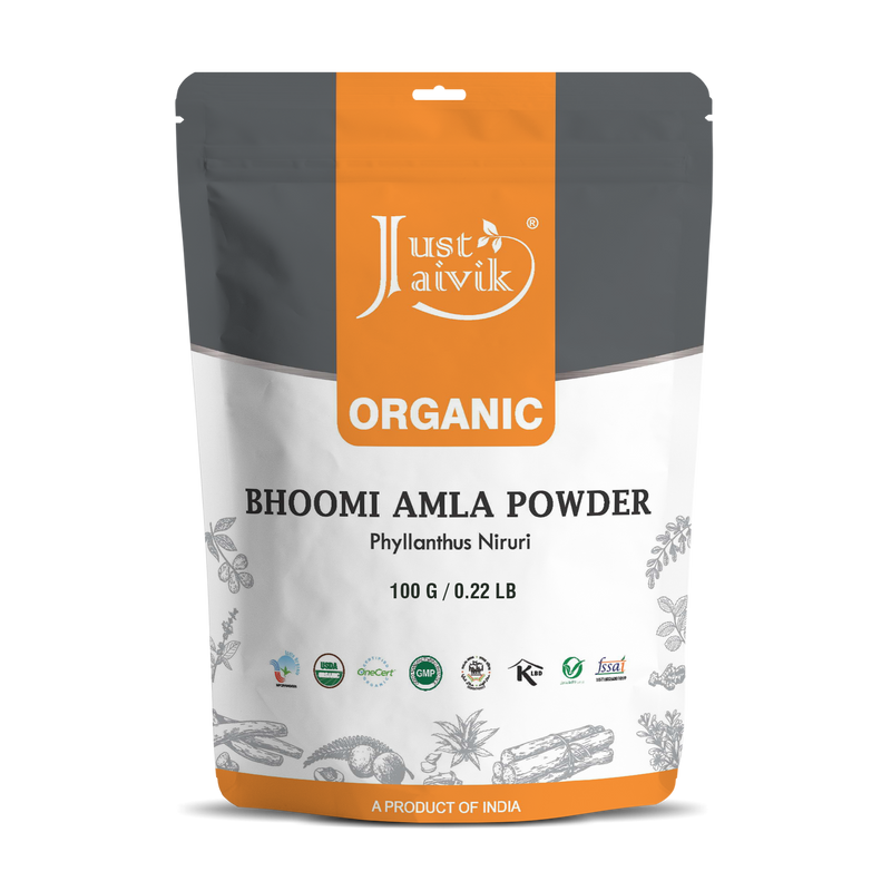 Bhumi Amla Powder | Organic | 100 g | Pack of 2