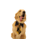 Pure Cotton Neck Tie for Dogs | Yellow