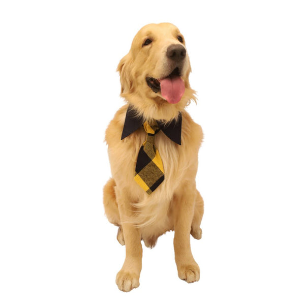 Pure Cotton Neck Tie for Dogs | Yellow