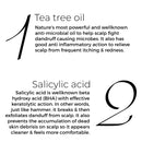 Hair Oil Shots | Tea Tree & Salicylic | For Dry, Itchy Scalp to Fights Dandruff | Set of 8