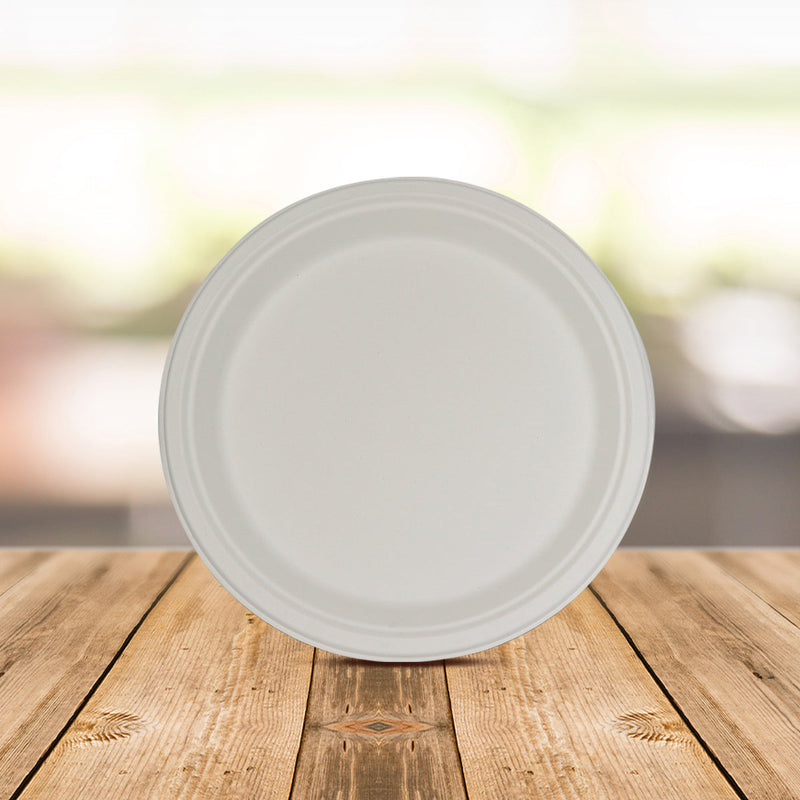Karnataka - Disposable Plates: Buy Biodegradable Paper Plates Online at  Best Price