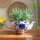 Ceramic Planter | Succulent Planter | Teapot Style | White & Blue | 24 cm