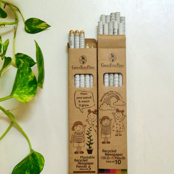 Recyclable Pencils Combo | 10 Colour pencils | 5 Plantable Seed pencils