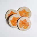 Papier Mache Coasters | Handpainted | Orange | Set of 4