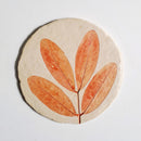 Papier Mache Coasters | Handpainted | Light Brown | Set of 4