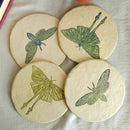 Papier Mache Coasters | Beige & Blue | Set of 4