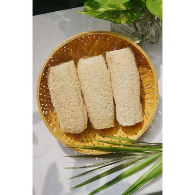 Organic Loofah | Natural Bathing Sponge Scrub | Pack of 3