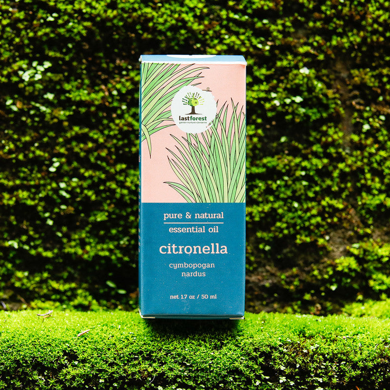 Citronella Essential Oil | Insect Repellent | 50 ml