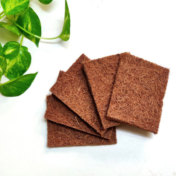 Coir Dish | Coconut Fiber | Pack of 5