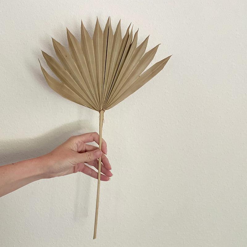 Decor Palm Leaf | Dried Flower | Natural | 10 Stems | 15 inch