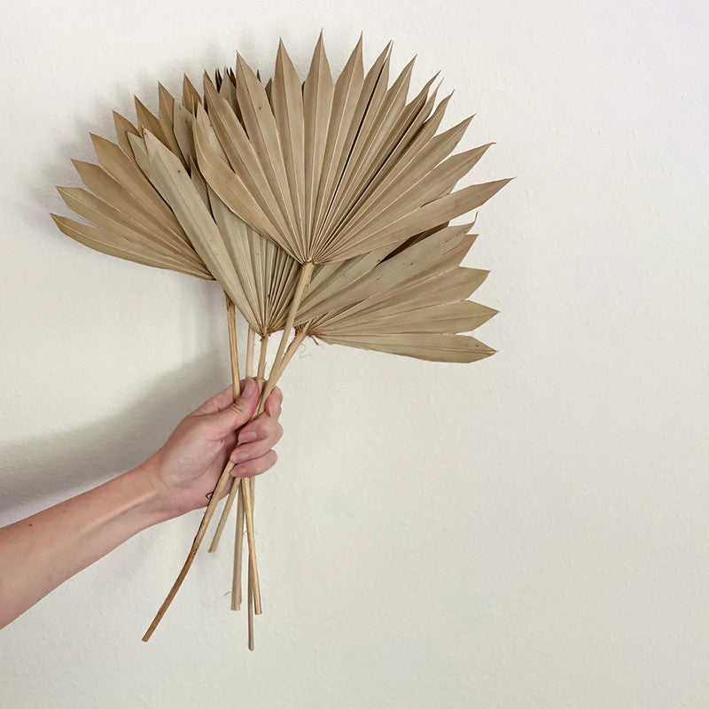 Decor Palm Leaf | Dried Flower | Natural | 10 Stems | 15 inch