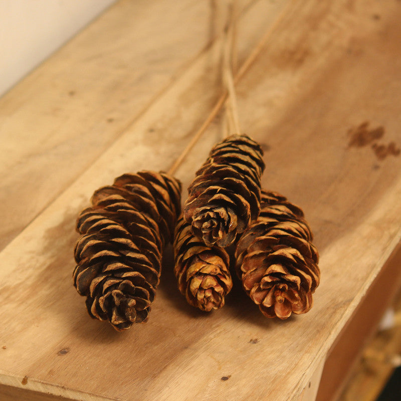 Dried & Preserved Tall Pine Cone | Set of 4