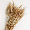 Wheat Grass Decor | Rustic Wheat Sheaves | 25 Stems | 24 inch