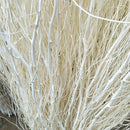 Decorative Willow Stem | White | 5 Stems | 3 Ft