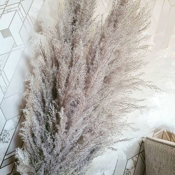 Dried Flowers | Pampas Grass | Natural Preserved Grass | Grey | 5 Stem | 4 Ft