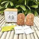 Festive Gifts | Eco Friendly Gifts | Plantable Ganesha and Lakshmiji Idols