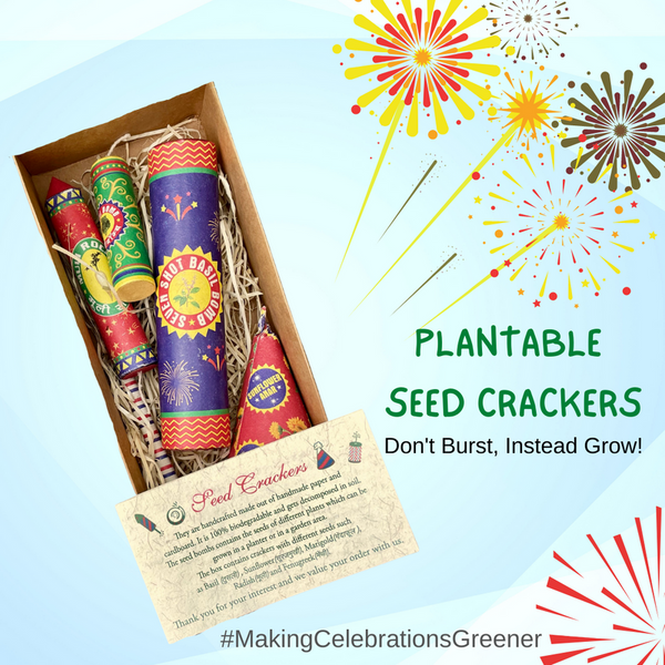 Festive Crackers | Plantable Seed Crackers | Pack of 5