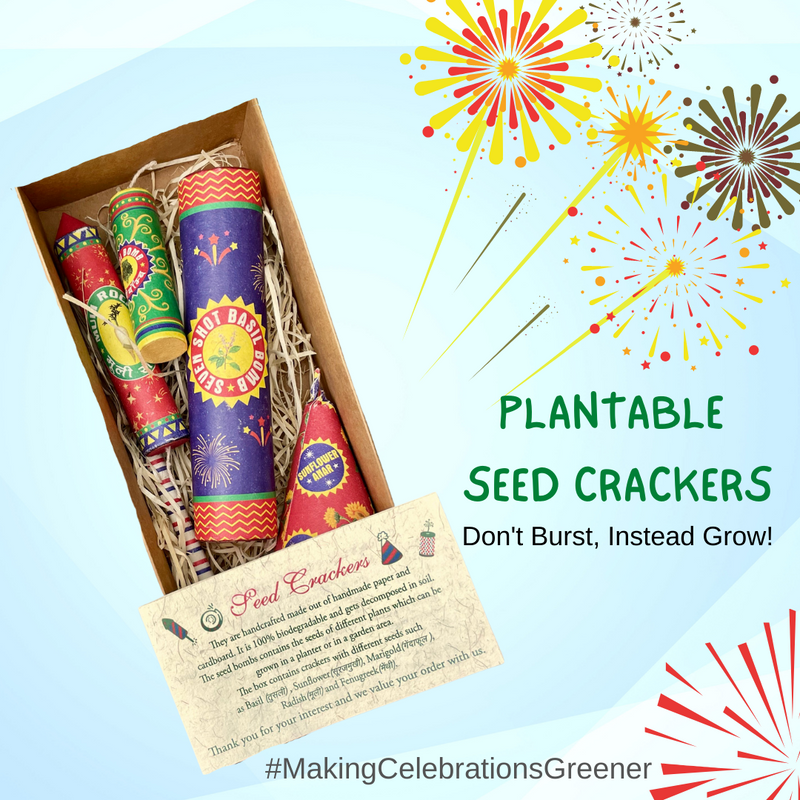 Festive Crackers | Plantable Seed Crackers | Pack of 5