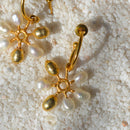 Earrings for Women | Real Pearls | 24K Gold Plated