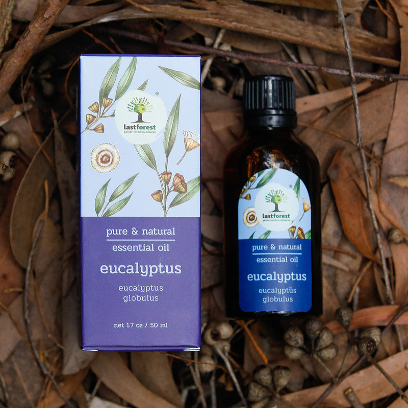 Eucalyptus Essential Oil | Relieves Cold & Cough | 50 ml