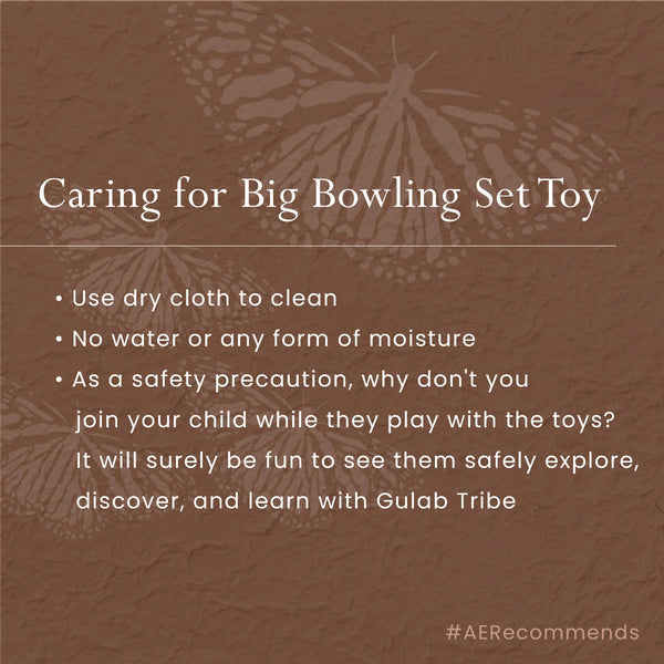 Wooden Toy Set for Kids | Big Bowling Set | Multicolour | Set of 7
