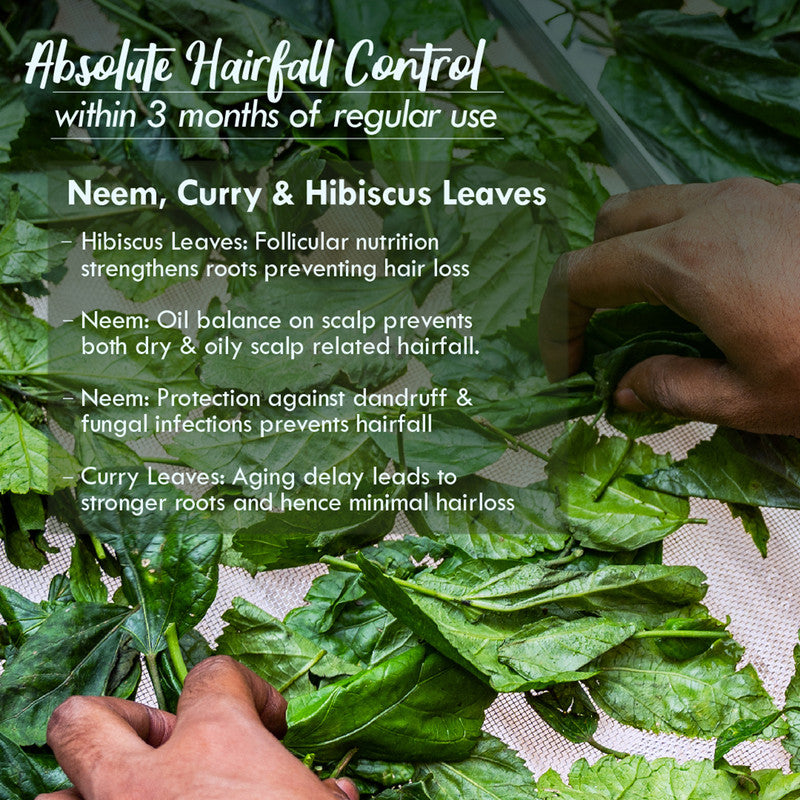 Nat Habit Crushed TriLeaf Hair Oil | Hair Fall Control Winter Dasabuti | 15 Herbs Heat Soaked | 100 ml