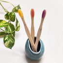 Bamboo Toothbrush | Biodegradable | BPA Free
