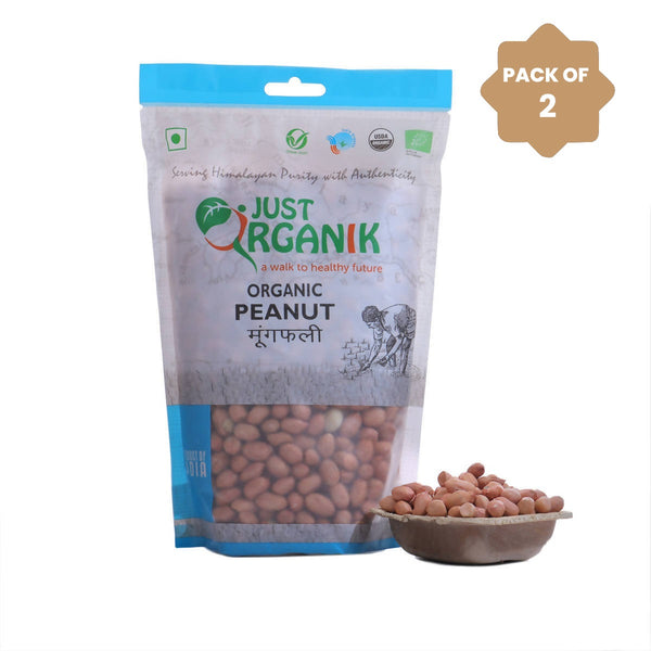 Fasting Food | Peanut | Organic | 500 g | Pack of 2