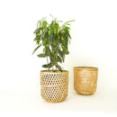 Bamboo Indoor Planter | 9 inches | Beige