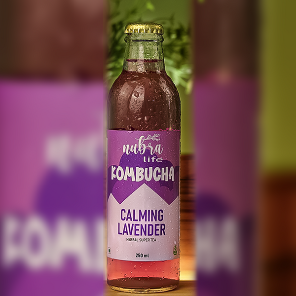 Kombucha | Calming Lavender | Digestive Enzymes | 250 ml | Pack of 6