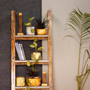 Wooden Ladder Shelf | Book Shelf | Planter Stand | White & Brown.