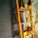 Wooden Ladder Shelf | Book Shelf | Planter Stand | White & Brown.