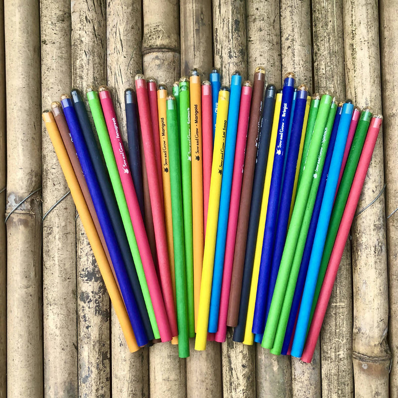 Plantable Seed Pencils | Pack of 50