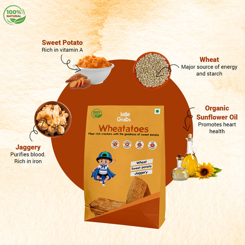 Roasted Snacks for Kids | Healthy Khakhras  | 100 g | Set of 4