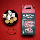 Chemical Free Pink Oyster Mushroom Growing Kit