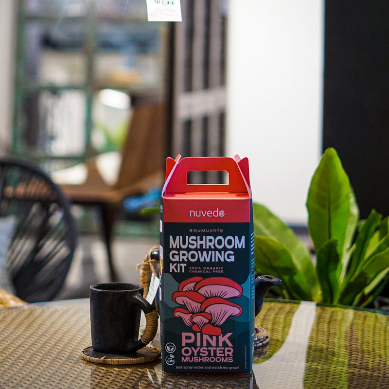 Chemical Free Pink Oyster Mushroom Growing Kit