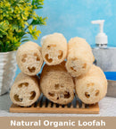 Organic Natural Loofah | Set of 6