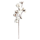 Dried Cotton Flowers | 6 Sticks