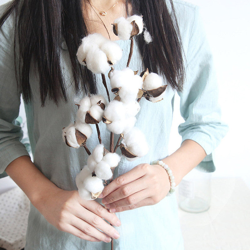 Dried Cotton Flowers | 6 Sticks